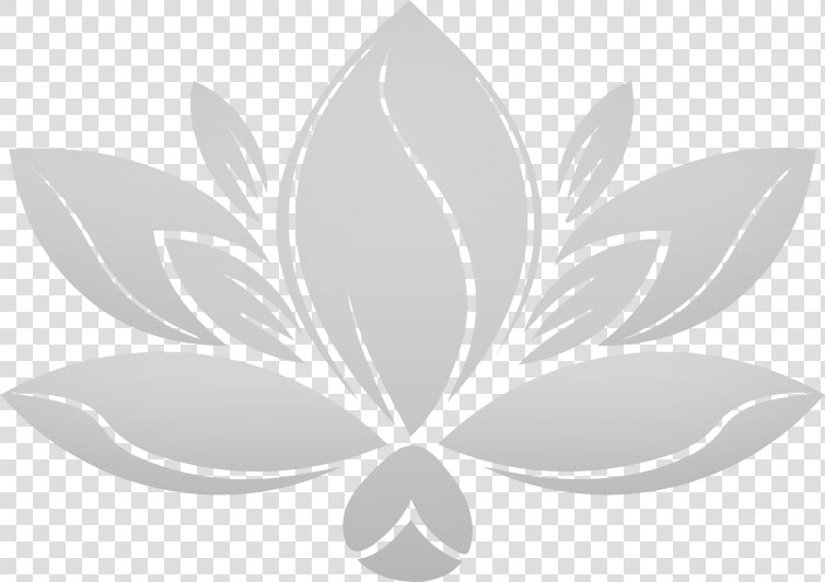 Soul Dynamite   Lotus Flower With Clear Background  HD Png DownloadTransparent PNG