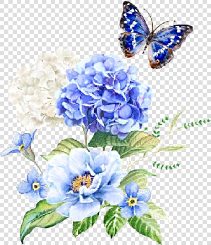  watercolor  flowers  floral  bouquet  hydrangea  butterfly   Hydrangea  HD Png DownloadTransparent PNG