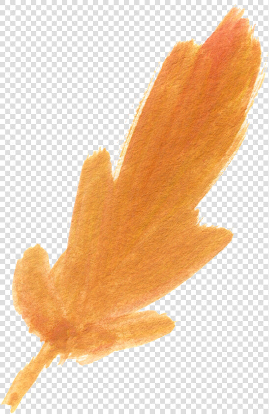 Free Fall Watercolor Floral Clip Art  So Pretty   Free Orange Watercolor Transparent  HD Png DownloadTransparent PNG
