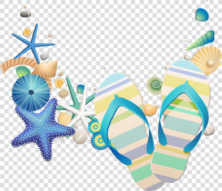 Seashells Png  Transparent PngTransparent PNG