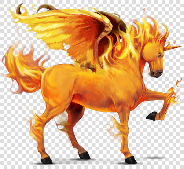 Howrse 5th Element  HD Png DownloadTransparent PNG