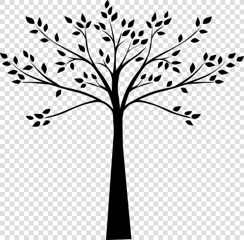 Tree Black And White Drawing Plum   Tree Decal Black And White  HD Png DownloadTransparent PNG