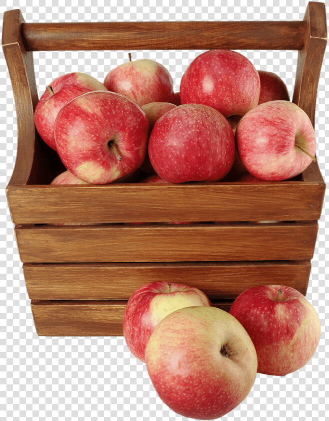Appels In Wooden Case   Increase Breast Size At 16  HD Png DownloadTransparent PNG