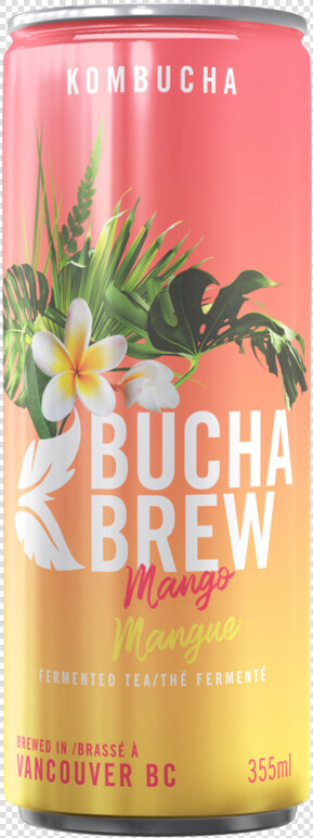 Kombucha Can  HD Png DownloadTransparent PNG
