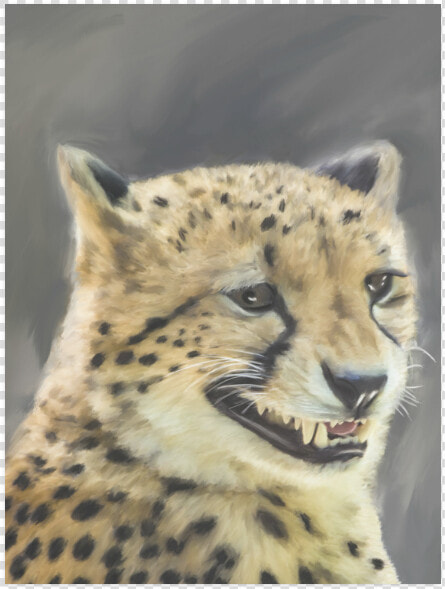 Painting Grinning Cheetah Portrait Poster 18 X24   Cheetah  HD Png DownloadTransparent PNG