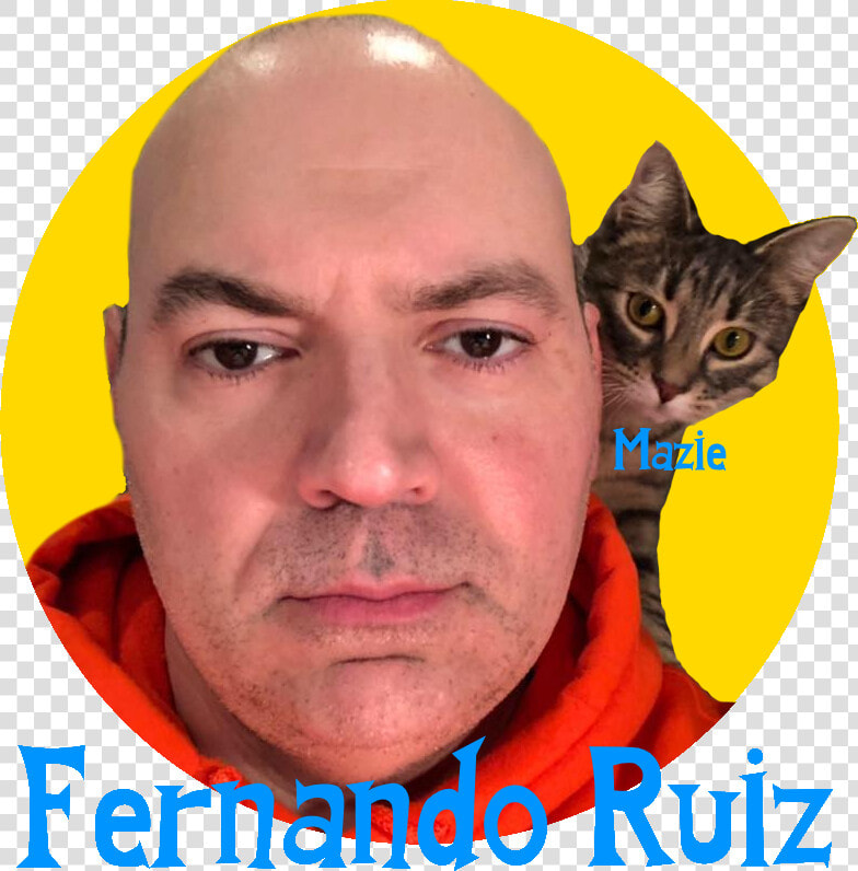 Transparent Scott Mccall Png   Domestic Short haired Cat  Png DownloadTransparent PNG