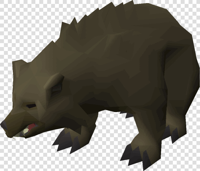 Bear Spawns Osrs  HD Png DownloadTransparent PNG