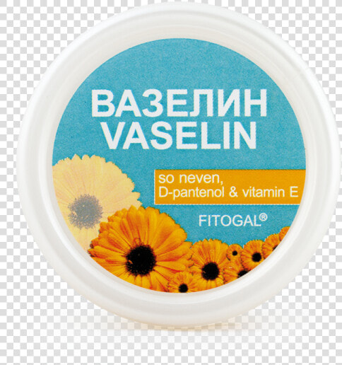 Camomile  HD Png DownloadTransparent PNG