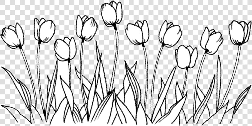 Sensitive Subject And Health Research   Flower Drawing Png  Transparent PngTransparent PNG