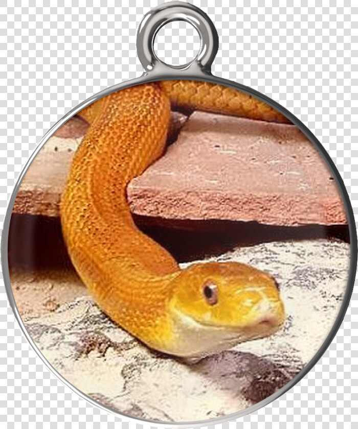 Eye Of The Beholder Charm Bracelet  HD Png DownloadTransparent PNG