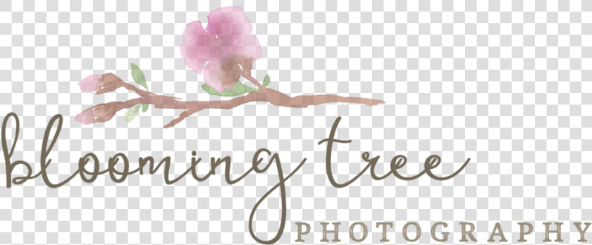 Frisco Newborn Photographer   Rosa Glauca  HD Png DownloadTransparent PNG