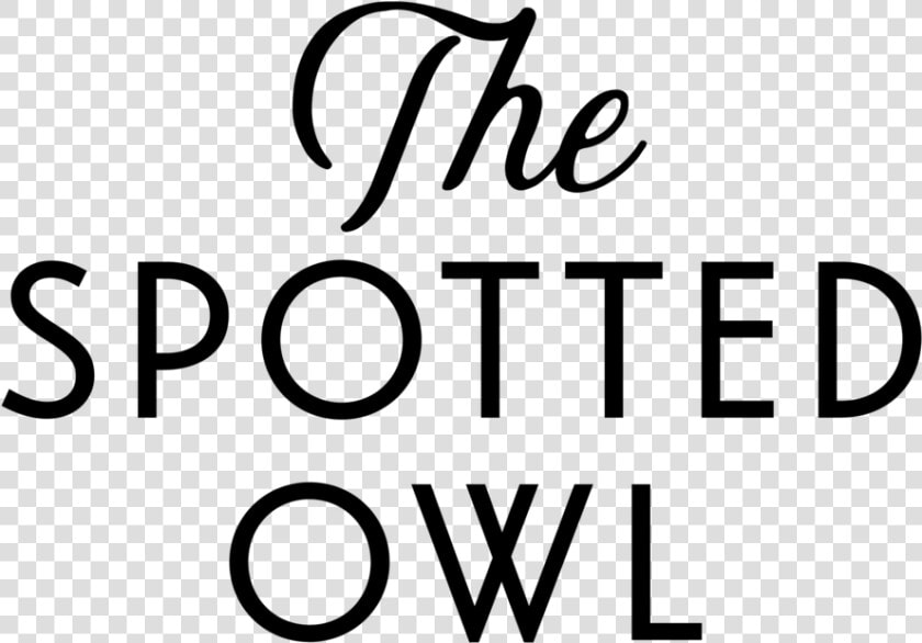 Owl Logotype  HD Png DownloadTransparent PNG