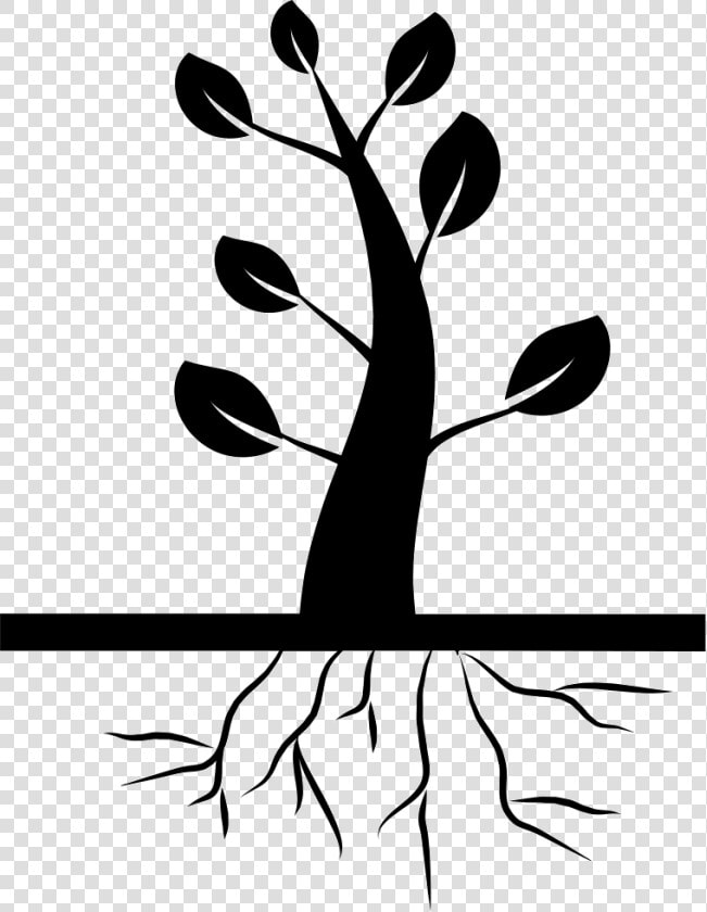 Tree And Roots   Tree With Roots Icon  HD Png DownloadTransparent PNG