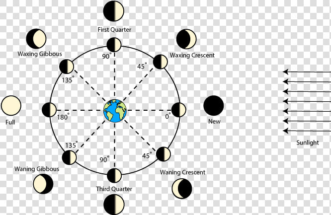 Phases Of The Moon Diagram   Moon Phases With Degrees  HD Png DownloadTransparent PNG