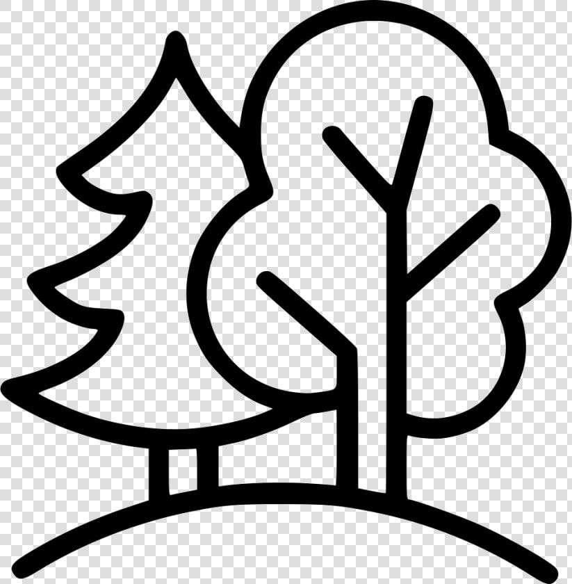 Forest Park Tree Green Outside   Outside Clipart Black And White  HD Png DownloadTransparent PNG