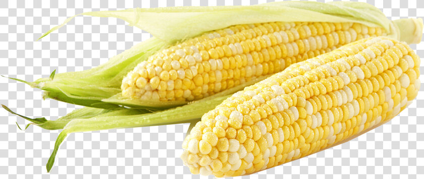 Corn Png Free Download   Meijer Corn  Transparent PngTransparent PNG