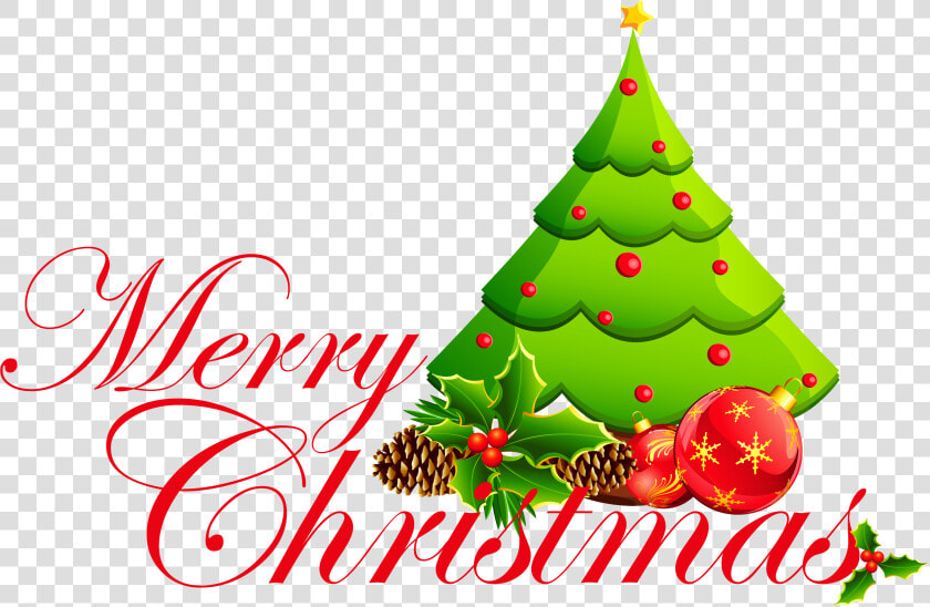 Transparent Merry Christmas Tree   Merry Christmas Christmas Tree  HD Png DownloadTransparent PNG
