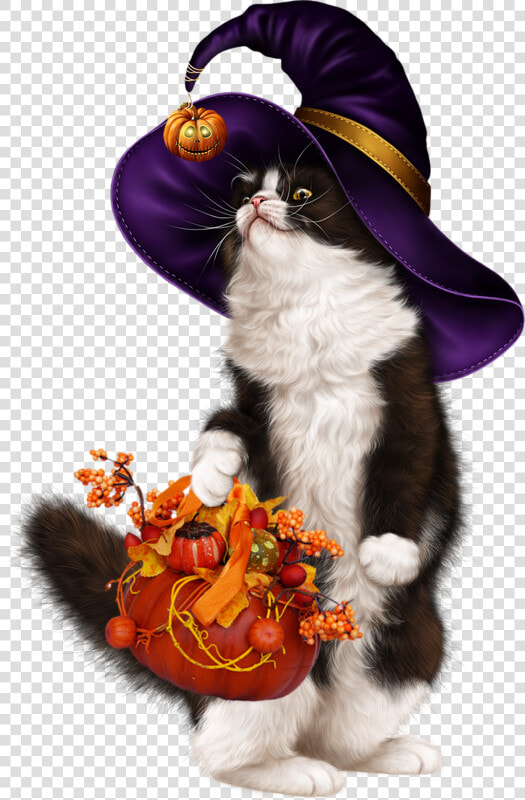 Centerblog Halloween Chat Tubes   Png Download   Kitten  Transparent PngTransparent PNG