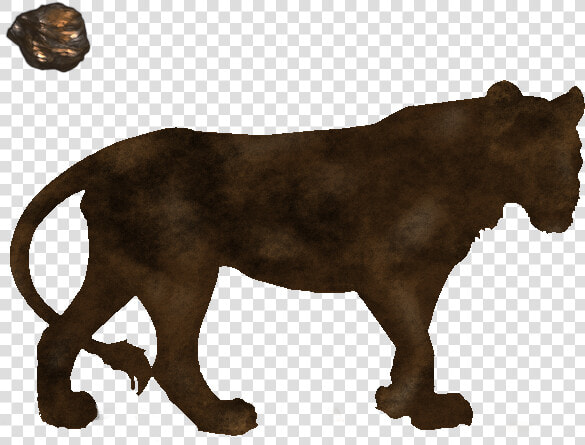 Lioden Neutral Base  HD Png DownloadTransparent PNG