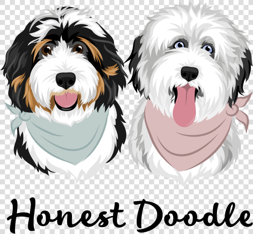 Dog Yawns  HD Png DownloadTransparent PNG