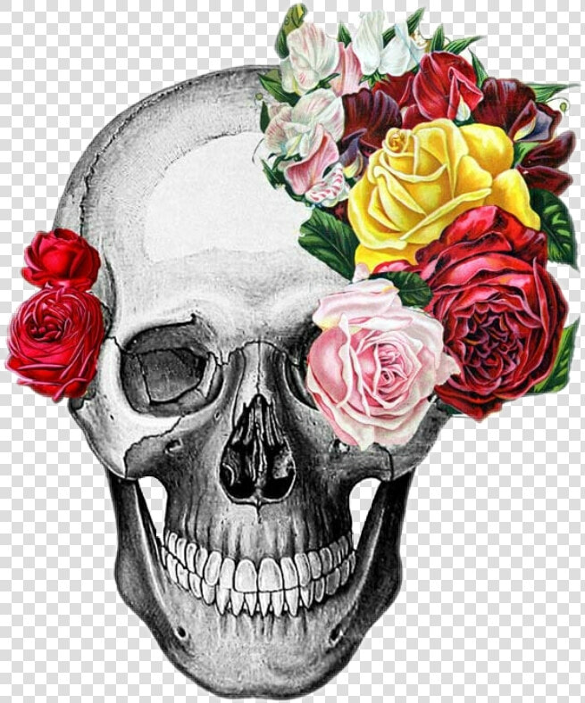  skull  humanface  humanhead  head  scaryv horror  flowers   Skull With Flowers Png  Transparent PngTransparent PNG