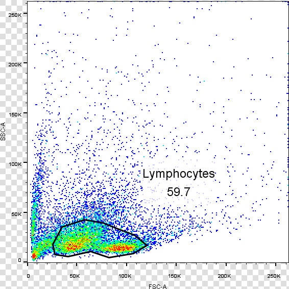 Spleen Lymphocytes Flow Cytometry  HD Png DownloadTransparent PNG