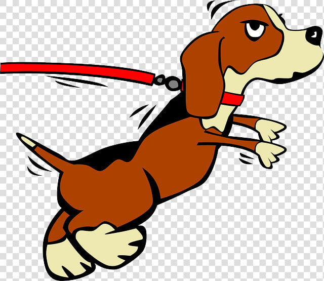 Puppy  Leash  Leashed  Jumping  Collar  Pedigree   Dog On Leash Clip Art  HD Png DownloadTransparent PNG