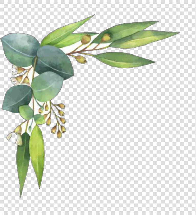  ftestickers  watercolor  leaves  corner  border   Border Watercolor Leaves Png  Transparent PngTransparent PNG