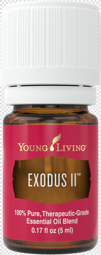 Chocolate Spread  HD Png DownloadTransparent PNG