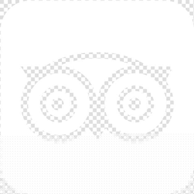 Tripadvisor   Owl Logos With Names  HD Png DownloadTransparent PNG