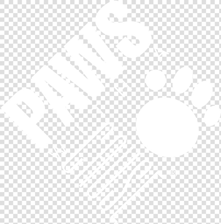 Web Paws Logos  HD Png DownloadTransparent PNG
