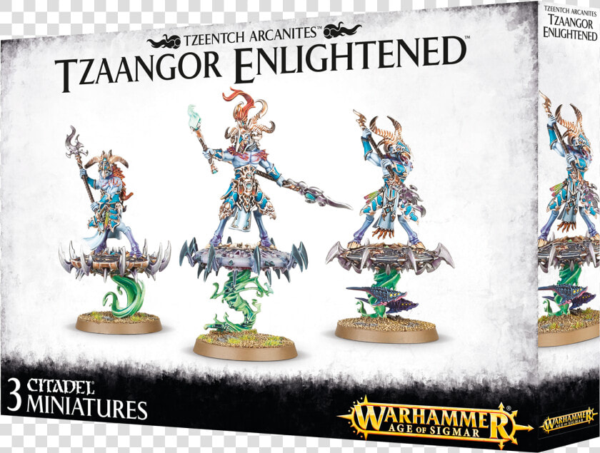 Tzeentch Arcanites Tzaangor Enlightened  HD Png DownloadTransparent PNG