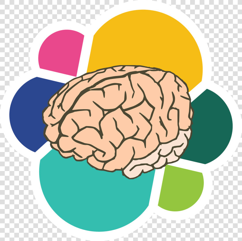 Cerebro   Elasticsearch   Brain Clipart Transparent Background  HD Png DownloadTransparent PNG