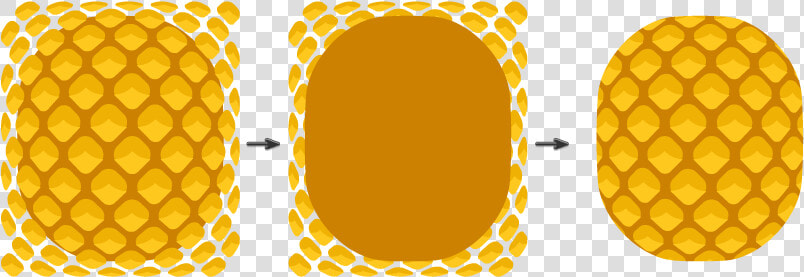 Eyeglasses Clipart Png  Transparent PngTransparent PNG