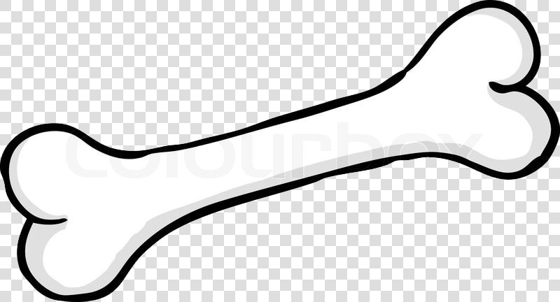 Bone Png   Knochen Comic  Transparent PngTransparent PNG
