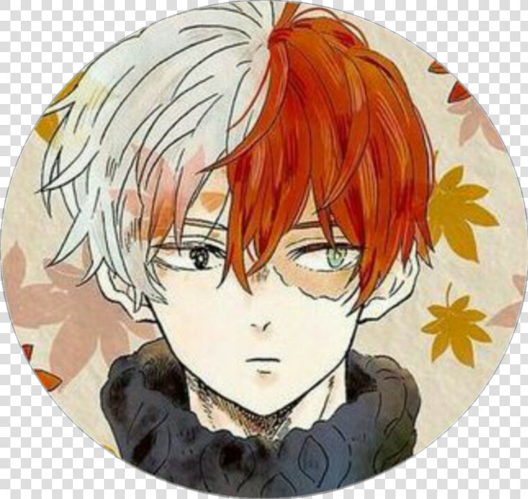  todoroki  shouto  todorokishouto  bnha  myheroacademia   Todoroki Shouto Autumn  HD Png DownloadTransparent PNG
