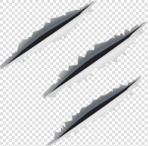 Claw Scratch Png Image   Bullet Holes  Transparent PngTransparent PNG