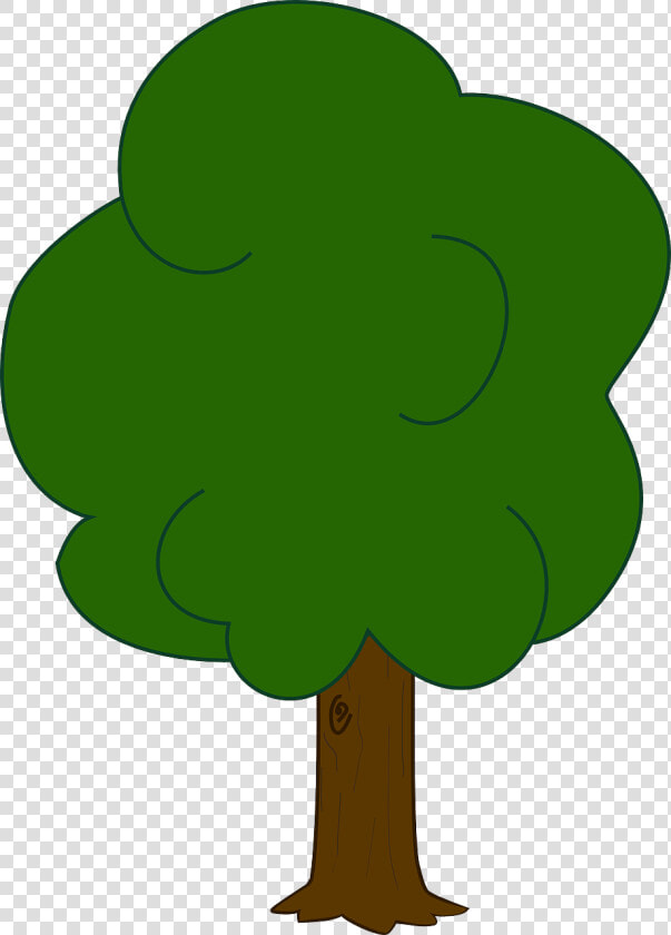 Oak Tree Clip Art   Simple Color Tree Drawing  HD Png DownloadTransparent PNG