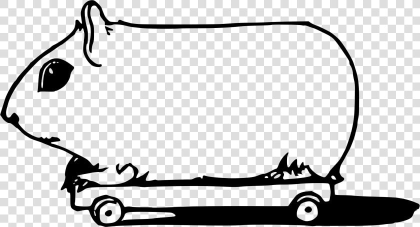 Line Art area monochrome Photography   Transparent Png Guinea Pig Black And White  Png DownloadTransparent PNG