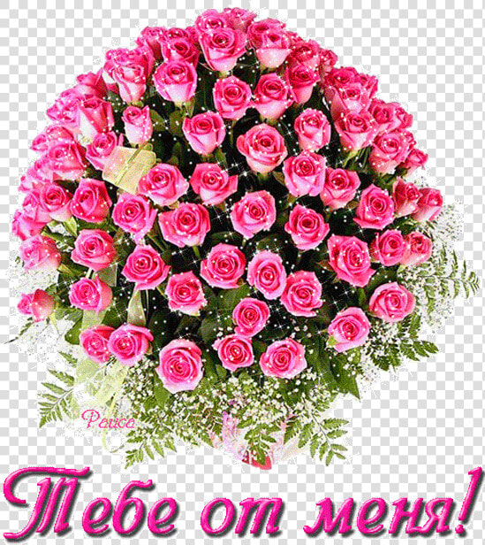 Rosas Para As Maes  HD Png DownloadTransparent PNG