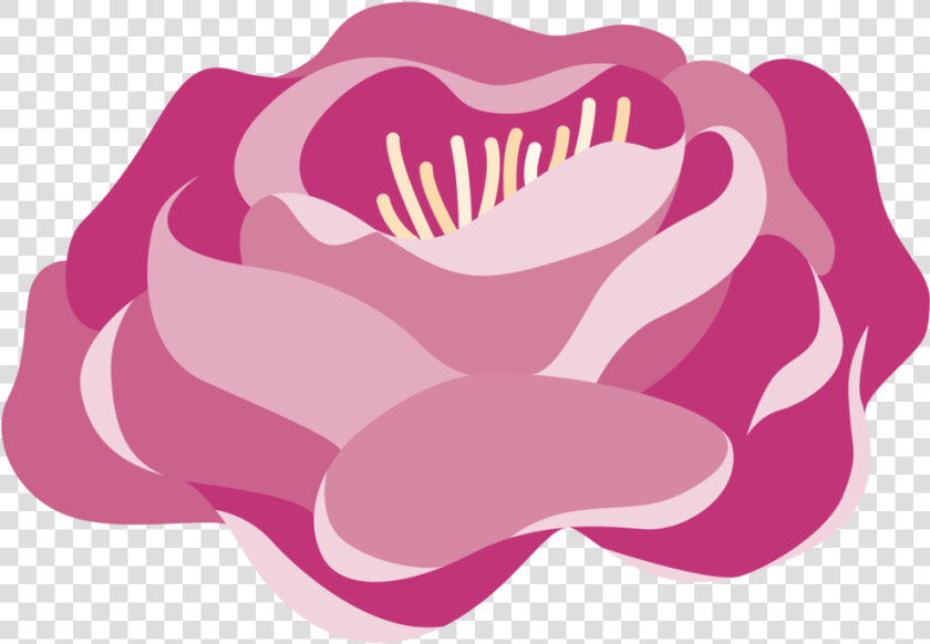 Ht Peonies01 Indv 01   Illustration  HD Png DownloadTransparent PNG