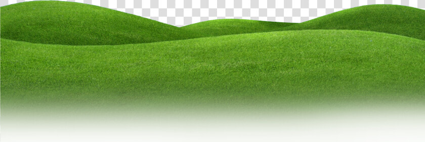 Lawn Meadow Grassland Landscape   Lawn  HD Png DownloadTransparent PNG