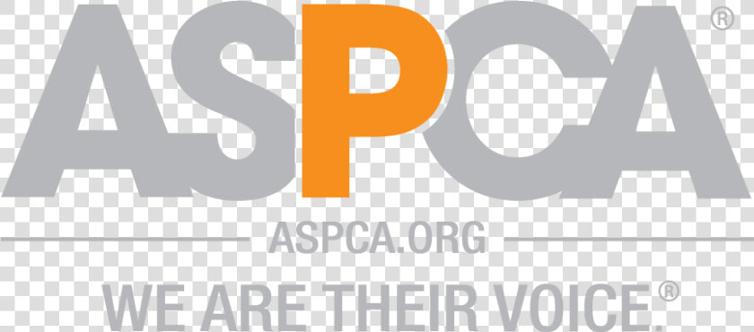Aspca Logo Square   Aspca Logo  HD Png DownloadTransparent PNG