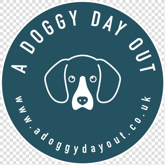 American Foxhound  HD Png DownloadTransparent PNG