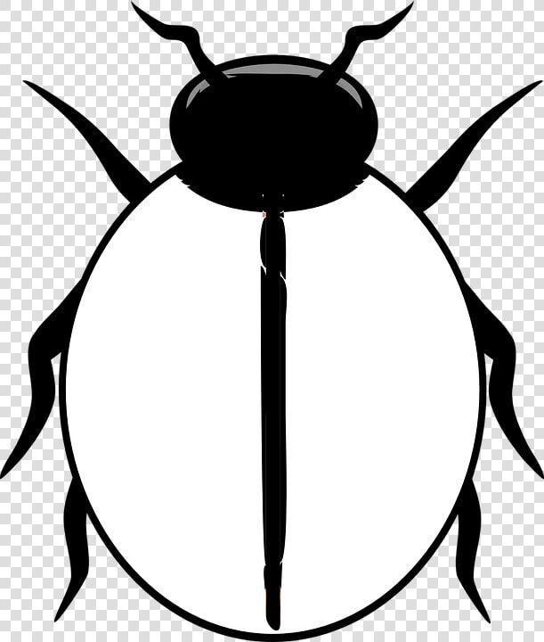 Transparent Ladybug Png   Ladybird Clipart Black And White  Png DownloadTransparent PNG
