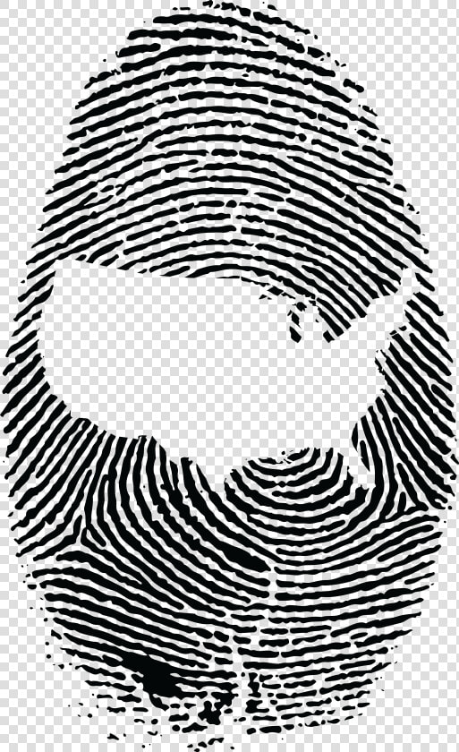 Free Clipart Of A Thumb Print With The United States   Fibonacci Sequence In Fingerprint  HD Png DownloadTransparent PNG