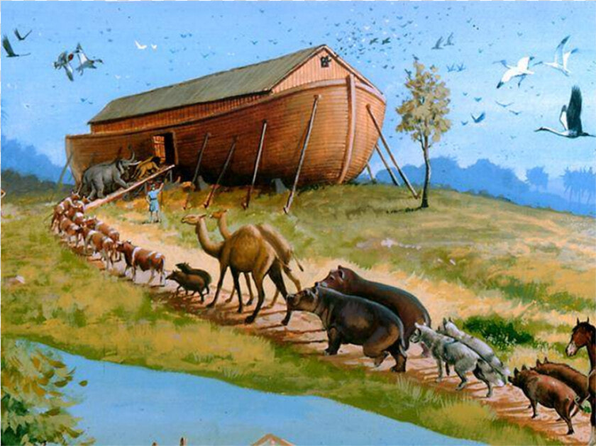 Animals Entering Noahs Ark  HD Png DownloadTransparent PNG