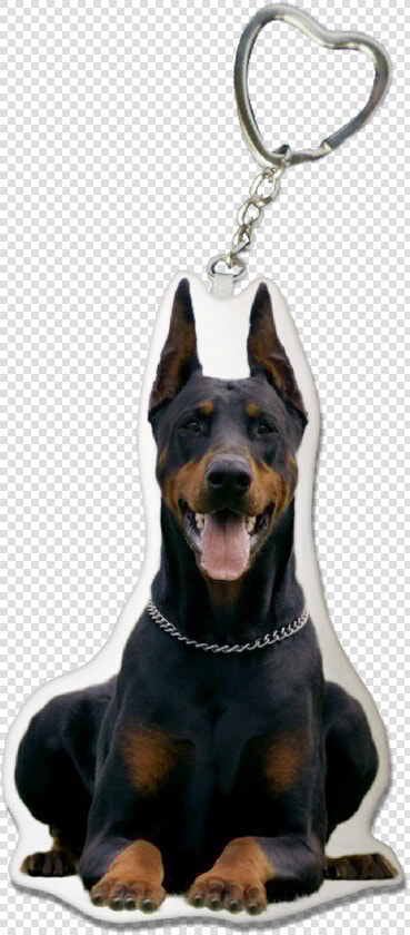 Doberman Pinscher Keyring   เช พ เพิ ร์ ด  HD Png DownloadTransparent PNG