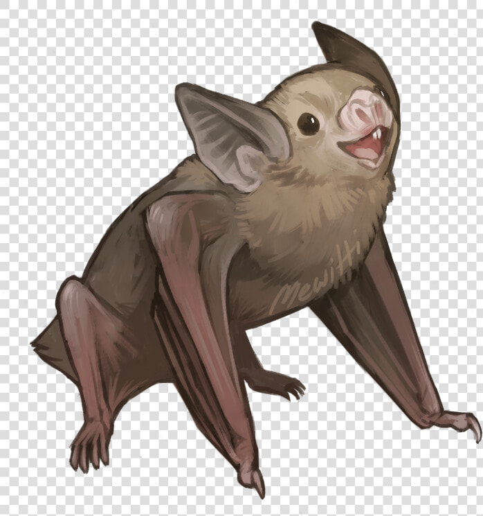 Bats Drawing Realistic   Vampire Bat Drawing  HD Png DownloadTransparent PNG