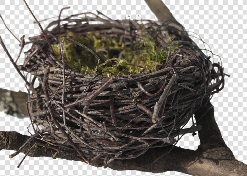 Bird S Nest  Nest  Easter Nest  Easter Decoration   Nido De Pajaros Png  Transparent PngTransparent PNG